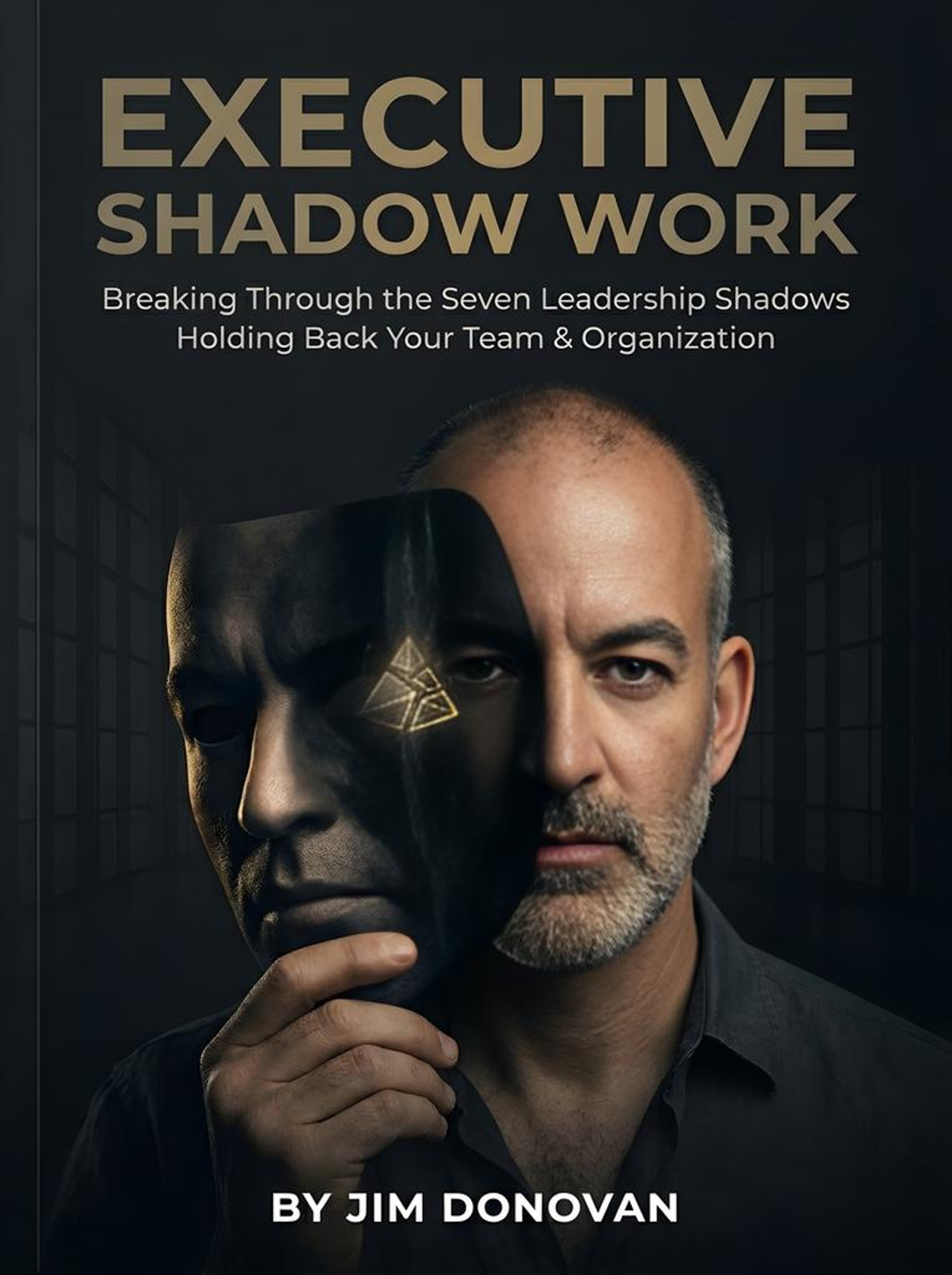 Executive Shadow Work by Jim Donovan